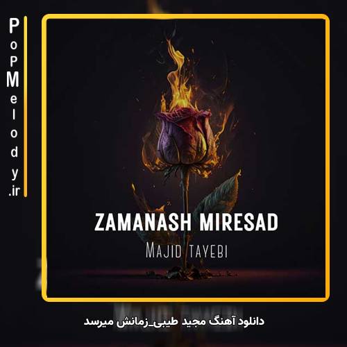 دانلود آهنگ مجید طیبی زمانش میرسد